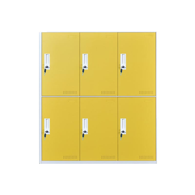 Indoor Non-Hanging Cabinet Contemporary Hinged Door Storage Cabinet
