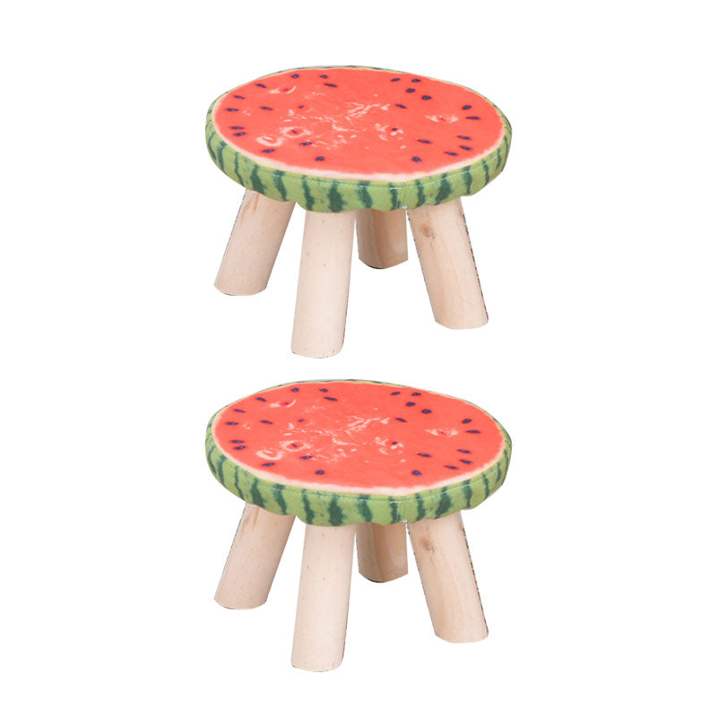 Modern Watermelon Standard Tear Resistant Round Standard for Living Room