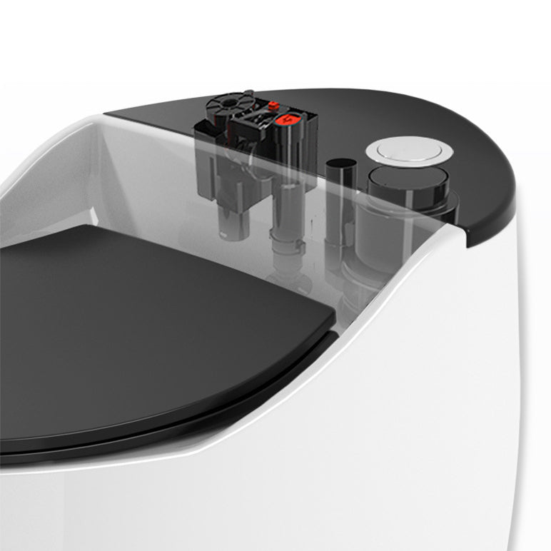 Modern Floor Mount Toilet Bowl One Piece Toilet with Seat for Bathroom