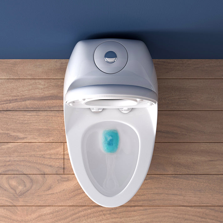 Modern Elong Toilet Bowl Floor Mount Toilet with Seat for Bathroom