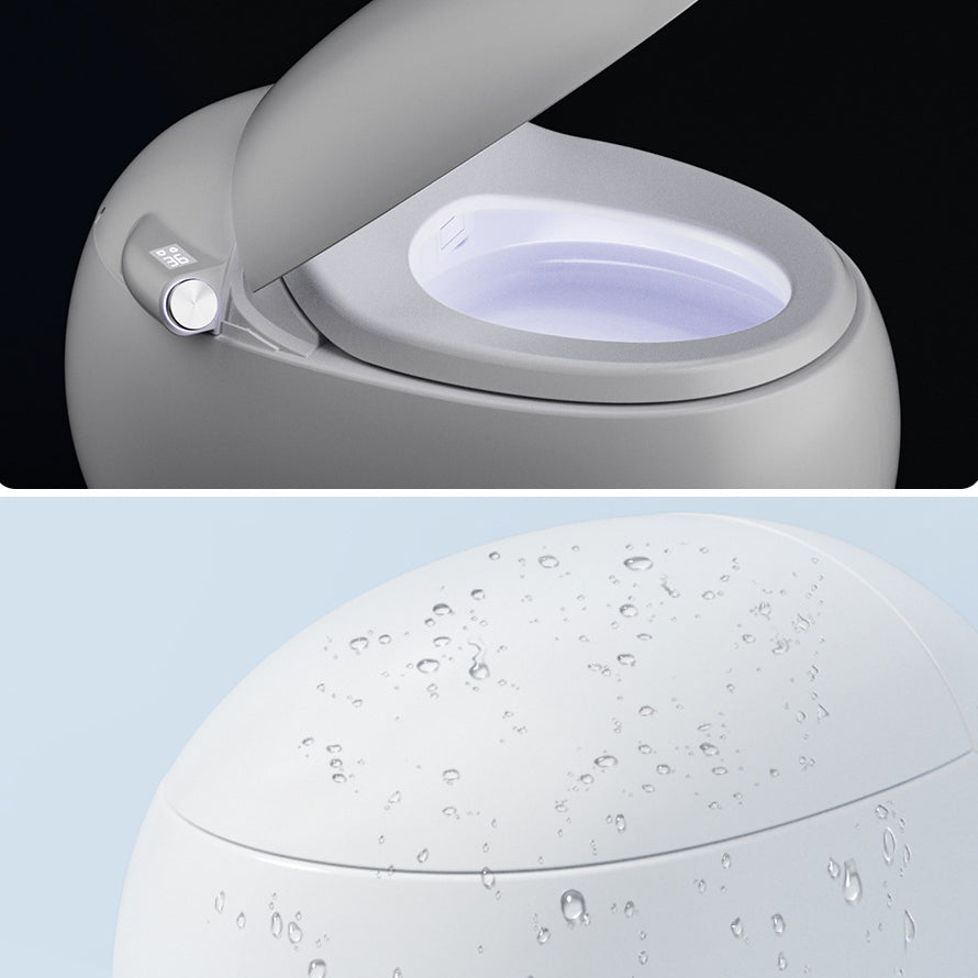 Contemporary One Piece Toilet Concealed Tank Toilet Bowl with Slow Close Seat for Washroom