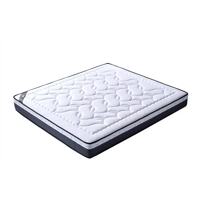 Contemporary Standard Bed Solid Wood Panel Bed with Upholstered Headboard