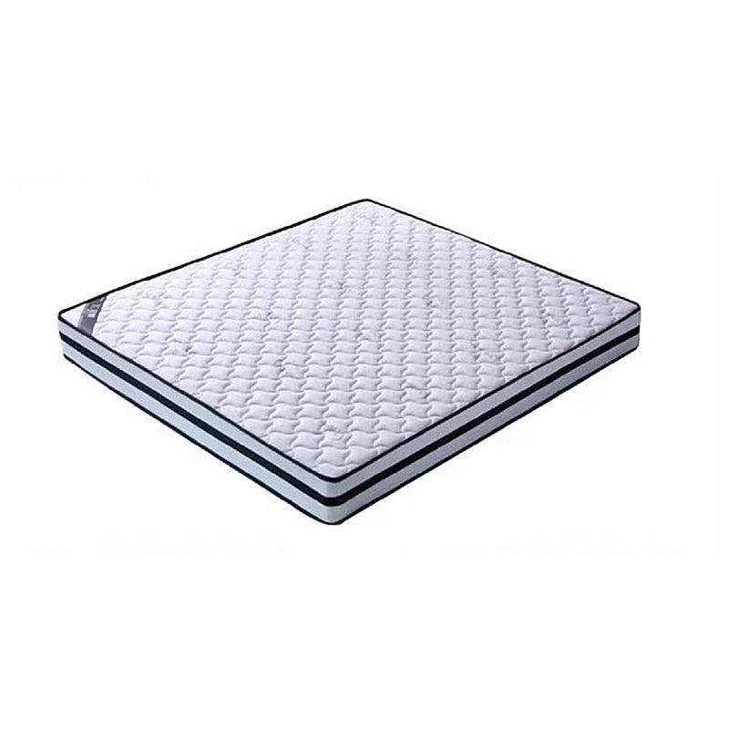 Contemporary Standard Bed Solid Wood Panel Bed with Upholstered Headboard