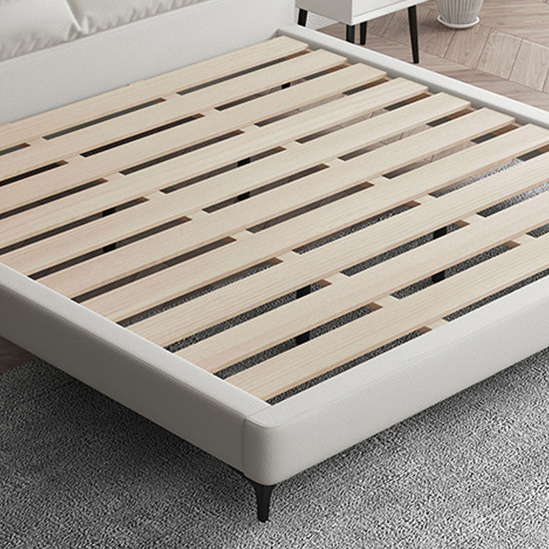 White Modern Standard Bed Foam Bed Frame with Custom Gold Legs