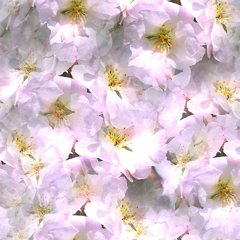 Hand Painted Flowers Mural Wallpaper Illustration Indoor Wall Mural