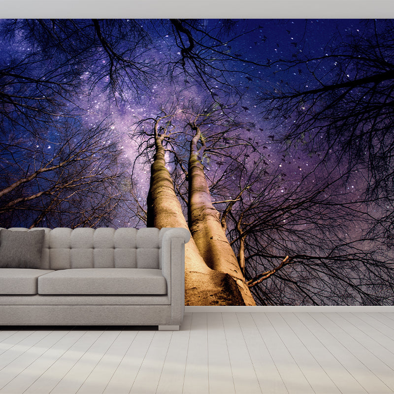 Beautiful Photography Mural Wallpaper Starry Sky Indoor Wall Mural