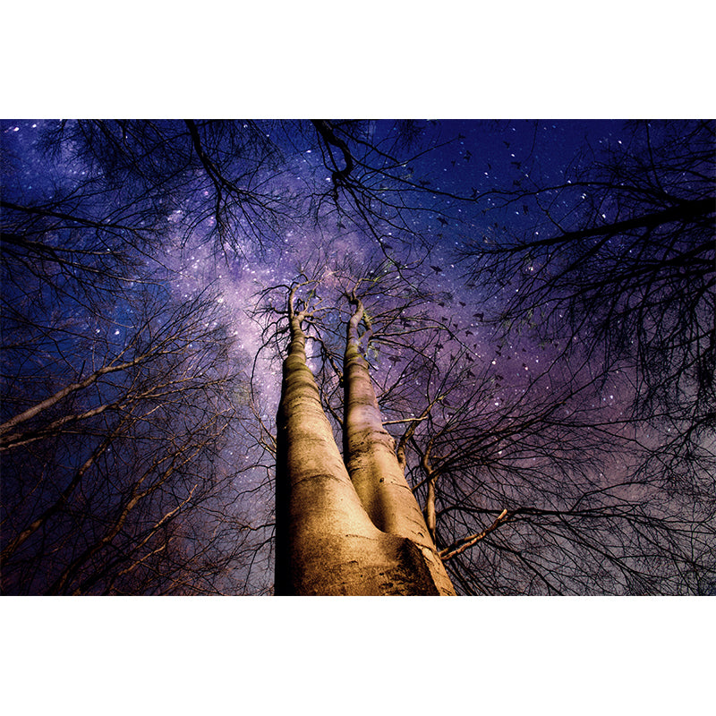 Beautiful Photography Mural Wallpaper Starry Sky Indoor Wall Mural