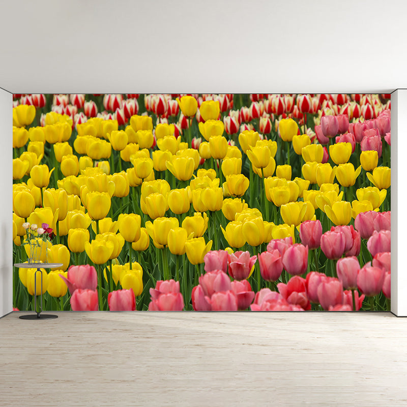 Photography Flower Field Mural Mildew Resistant Wallpaper Living Room Wall Mural