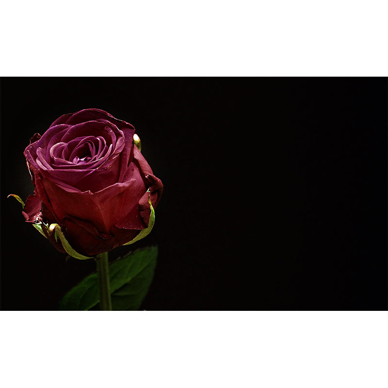 Flowers Stain Resistant Mural Washable Wallpaper Sitting Room Wall Mural