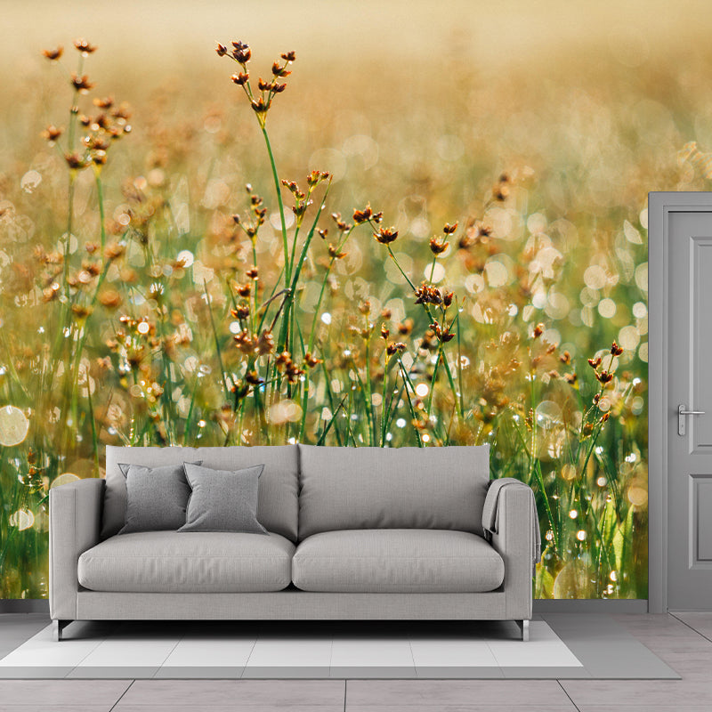 Scenery Mildew Resistant Wallpaper Photography Environmental Sleeping Room Wall Mural
