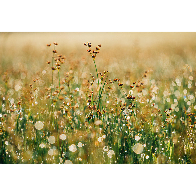 Scenery Mildew Resistant Wallpaper Photography Environmental Sleeping Room Wall Mural