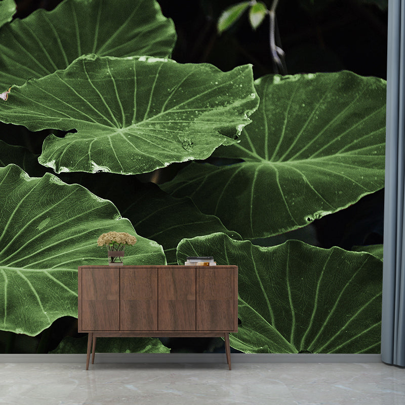 Photography Wall Mural Wallpaper Plant Living Room Wall Mural