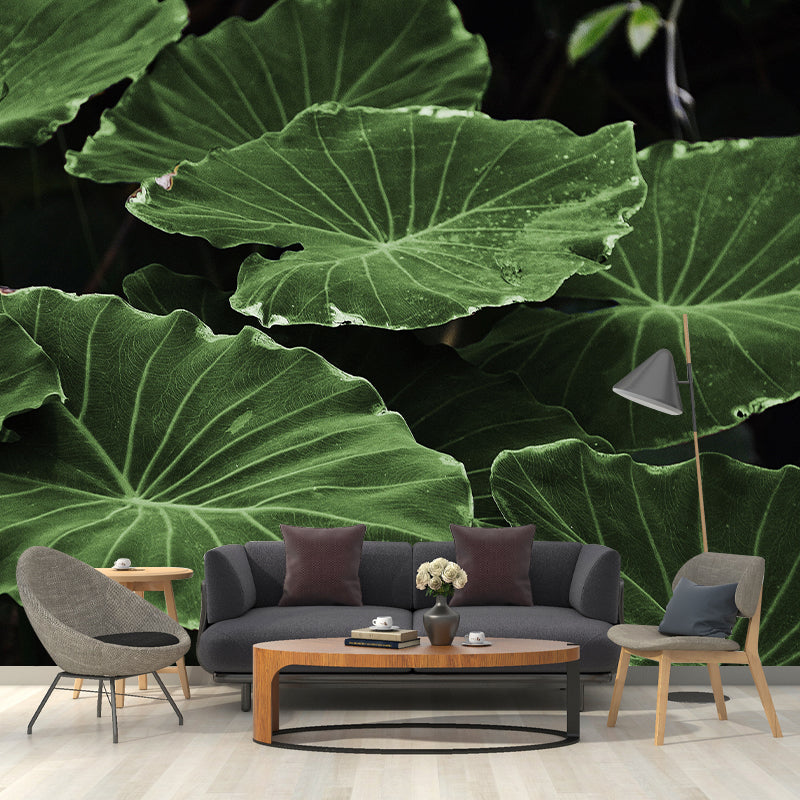 Photography Wall Mural Wallpaper Plant Living Room Wall Mural