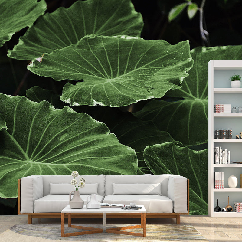 Photography Wall Mural Wallpaper Plant Living Room Wall Mural