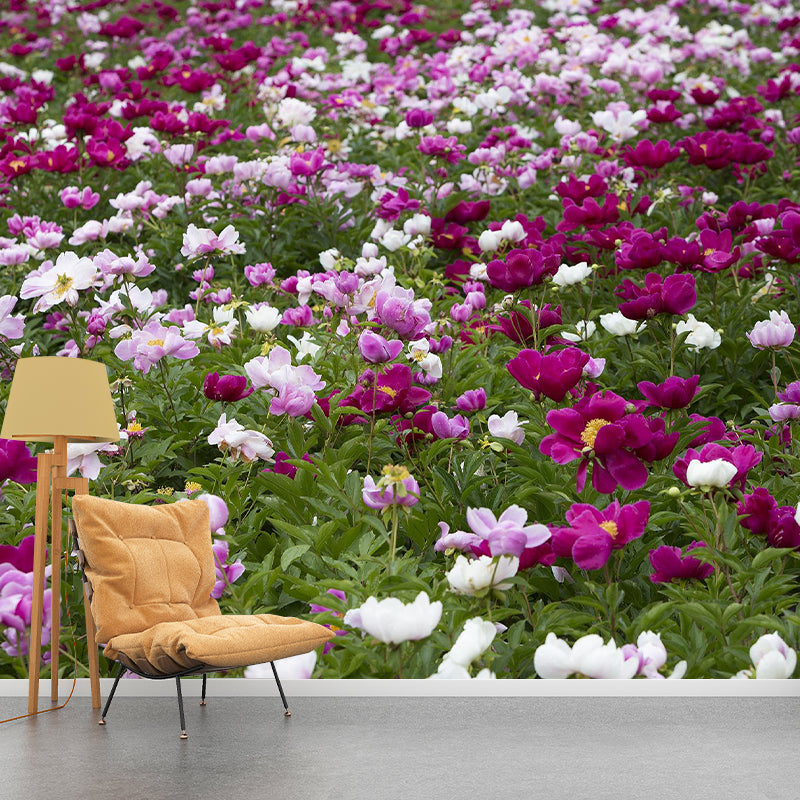 Photography Wall Mural Wallpaper Plant Living Room Wall Mural