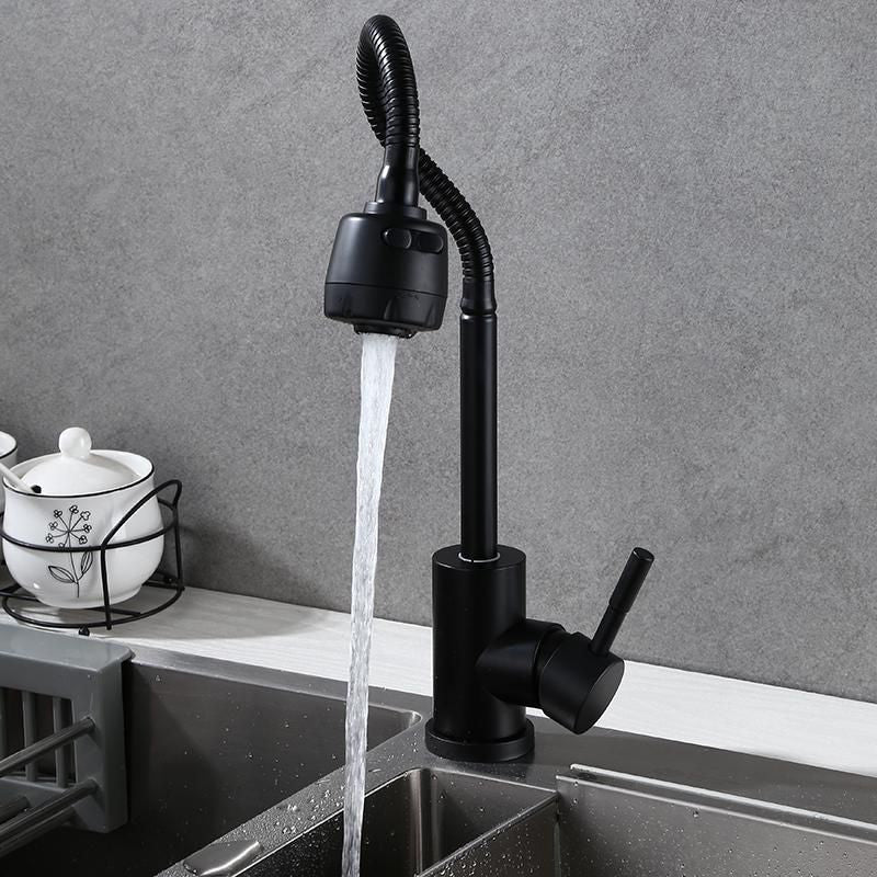 Modern 1-Handle 1-Hole Faucets Black and Silver Standard Kitchen Faucet