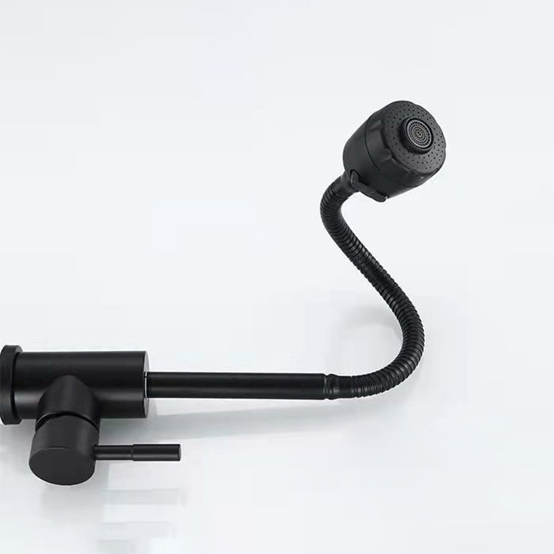 Modern 1-Handle 1-Hole Faucets Black and Silver Standard Kitchen Faucet