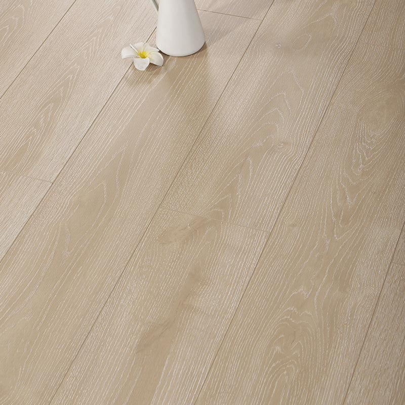 Contemporary Laminate Flooring Light Color Wooden Laminate Flooring
