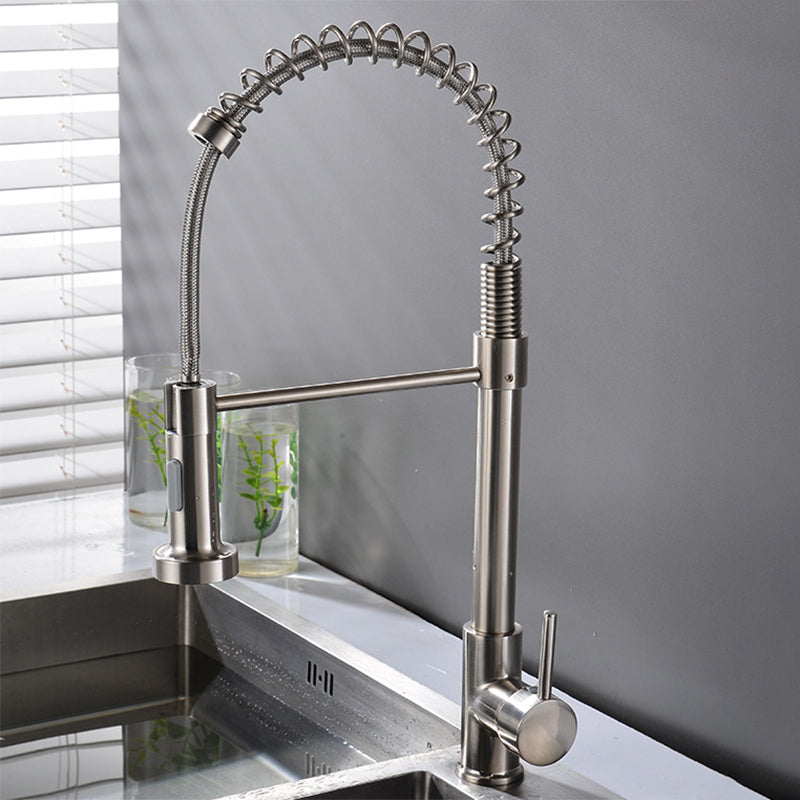 Modern Spring Spout Faucets 1-Handle with Water Dispenser Standard Kitchen Faucets