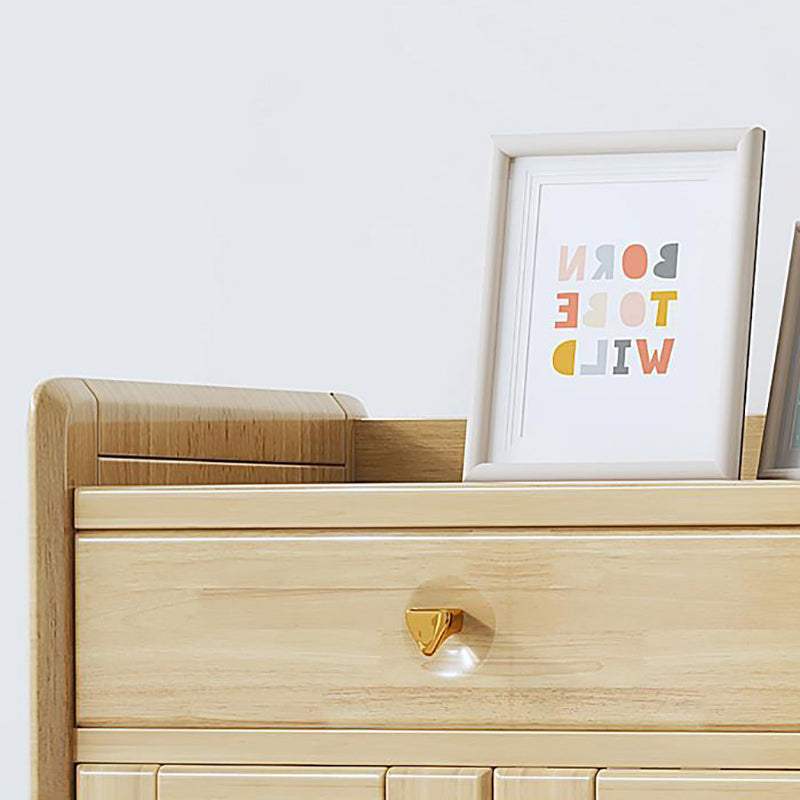 42.51" Tall 2 - Drawer Accent Cabinet Modern 3 - Door Cabinet