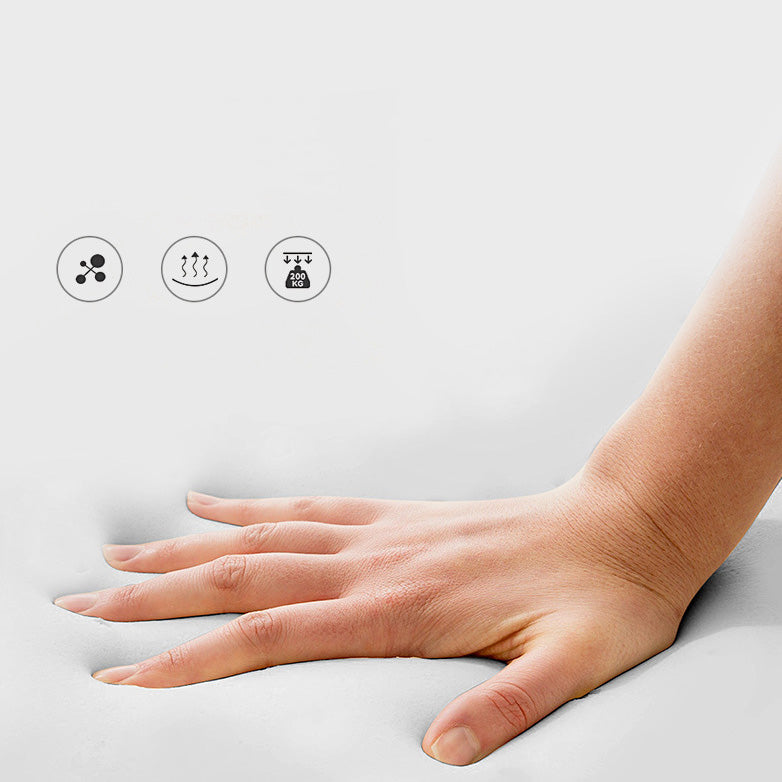 Fixed Back Sled Arms Armchair Mid-century Modern Accent Armchair