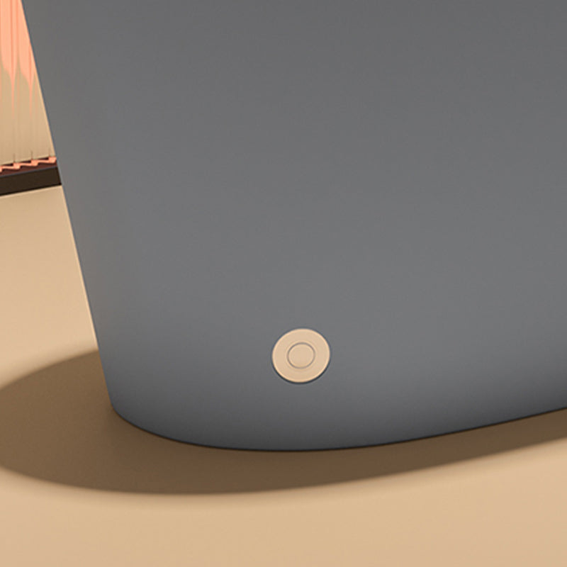 Modern Skirted Toilet Bowl Siphon Jet Toilet with Seat for Bathroom