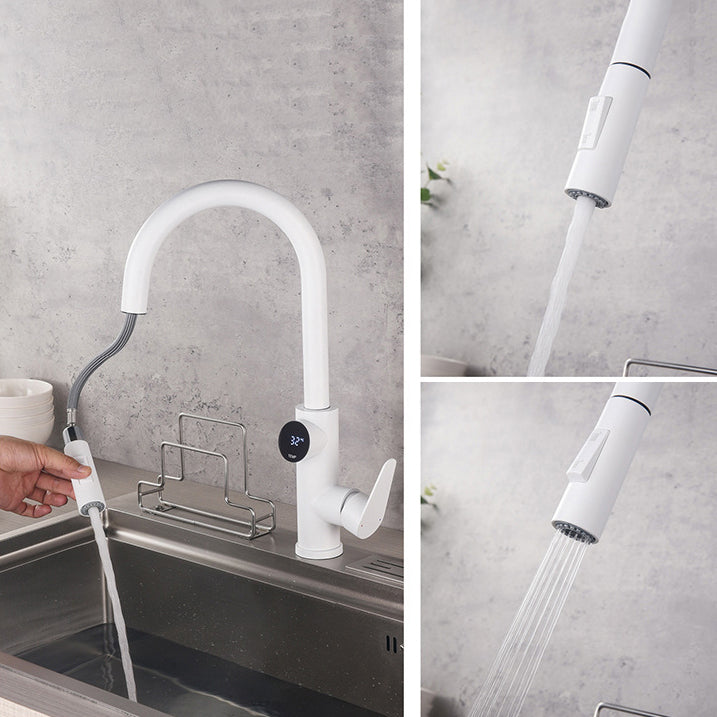 Modern Style Kitchen Faucet Stainless Steel 1-Handle High Arc Retractable Kitchen Faucet