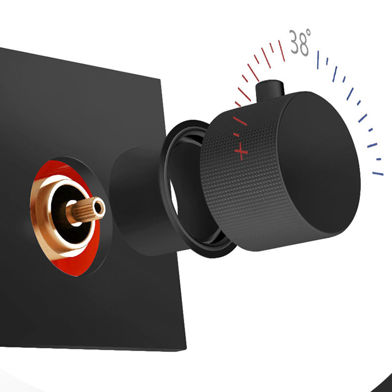 Contemporary Shower Set Dual Shower Head Thermostatic Wall Mounted Shower System