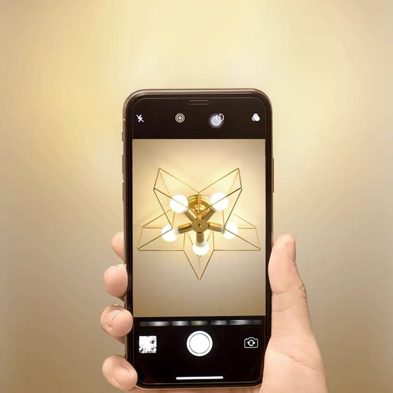 5-Lights Star Shape Flush Mount Ceiling Fixture Modern Flush Ceiling Lights