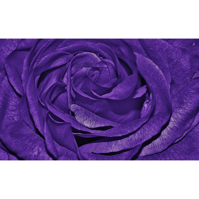 Beautiful Flowers Mildew Resistant Wallpaper Photography Sleeping Room Wall Mural