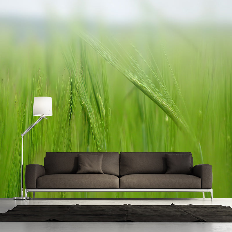 Environmental Wall Mural Wallpaper Plant Living Room Wall Mural