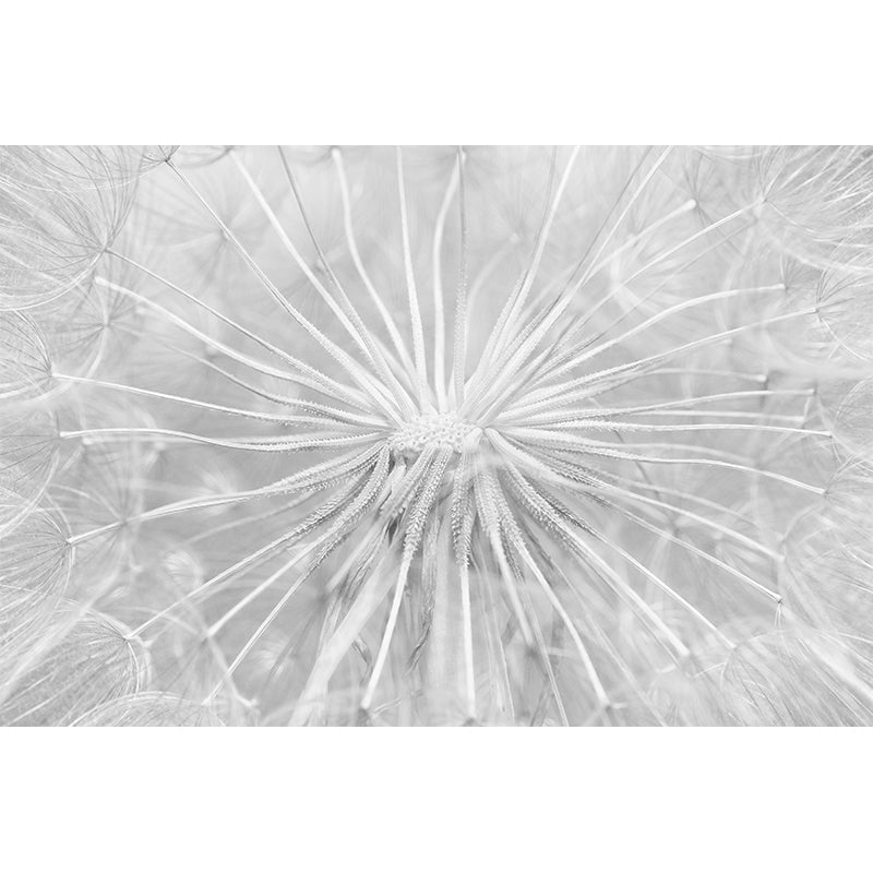 Photography Stain Resistant Mural Wallpaper Plant Indoor Wall Mural