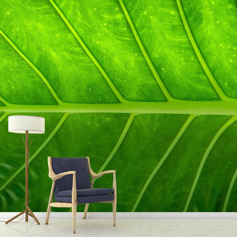 Photography Stain Resistant Mural Wallpaper Plant Indoor Wall Mural