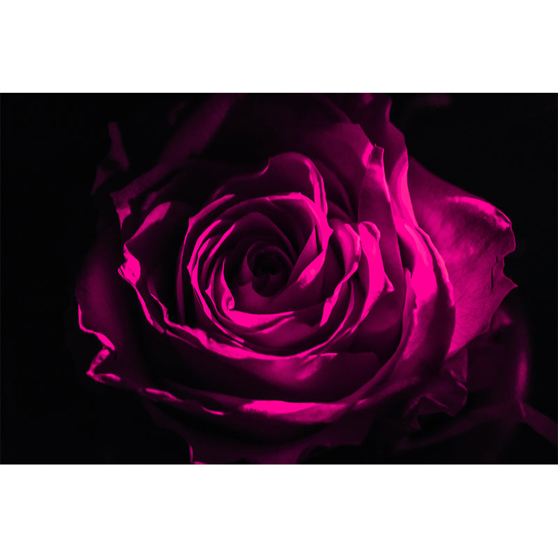 Photography Flower Mural Mildew Resistant Wallpaper Sleeping Room Wall Mural