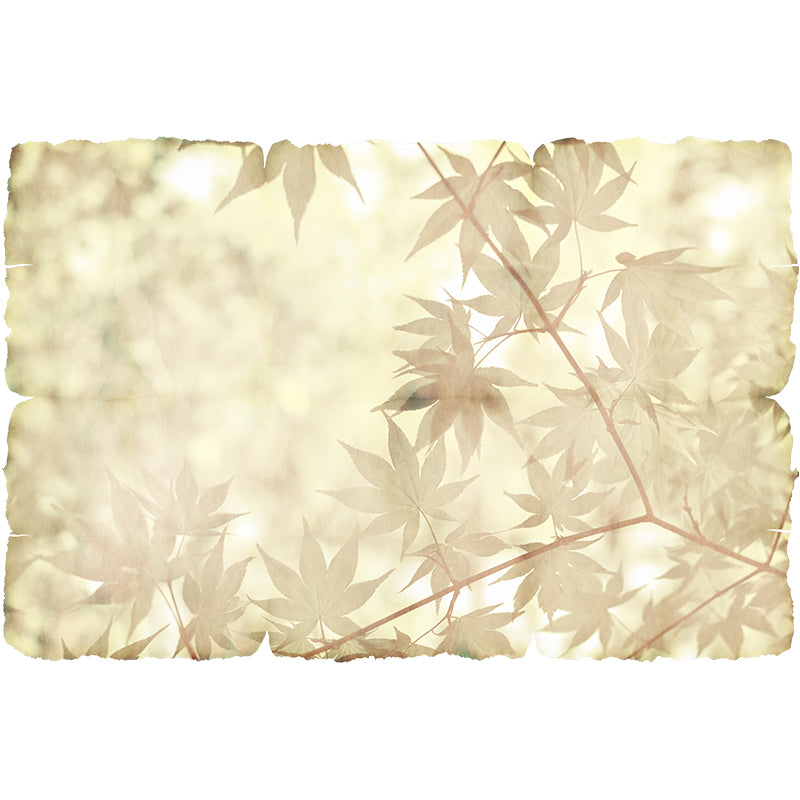 Plants Stain Resistant Mural Photography Washable Wallpaper Sitting Room Wall Mural