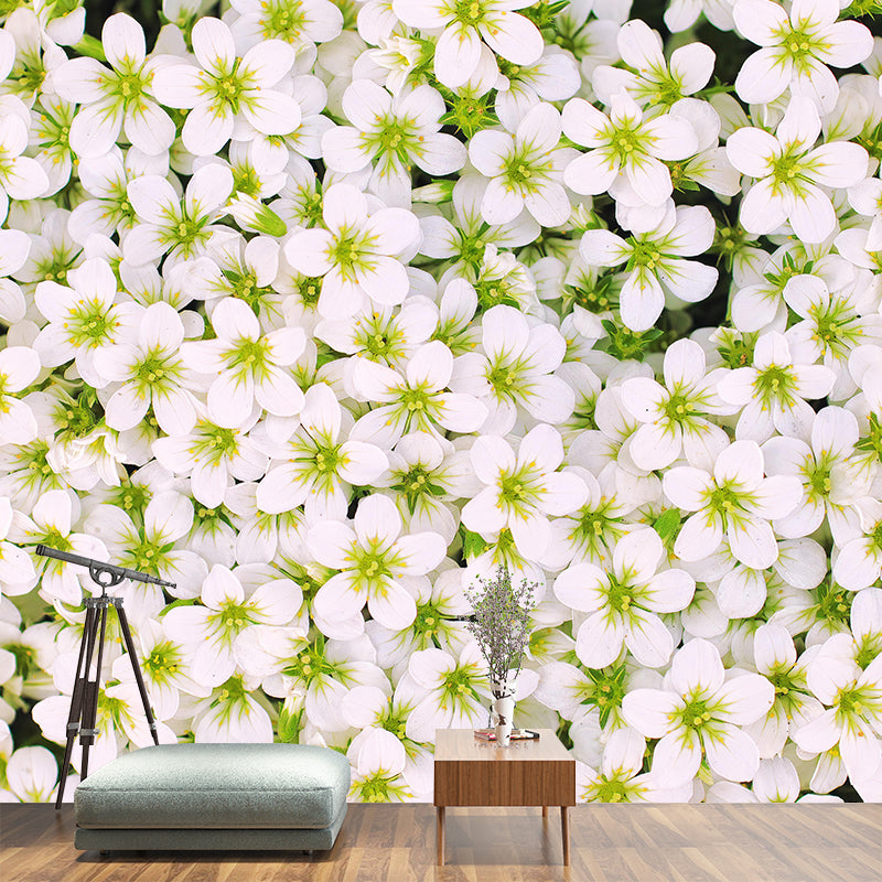Plants Stain Resistant Mural Photography Washable Wallpaper Sitting Room Wall Mural