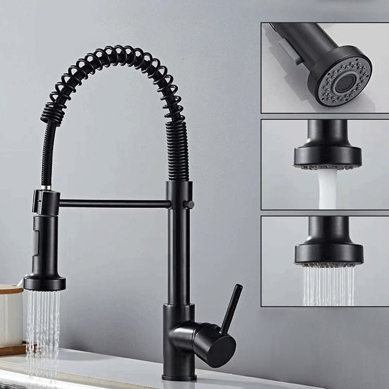 Modern 1-Handle Faucet Spring Spout with Water Dispenser Standard Kitchen Faucet