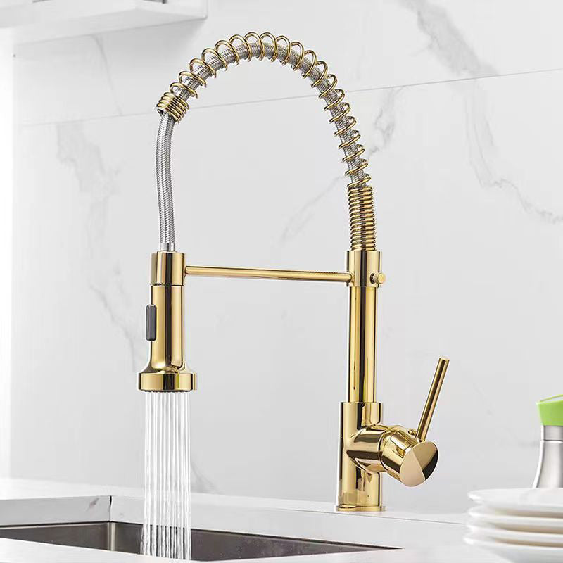 Modern 1-Handle Faucet Spring Spout with Water Dispenser Standard Kitchen Faucet