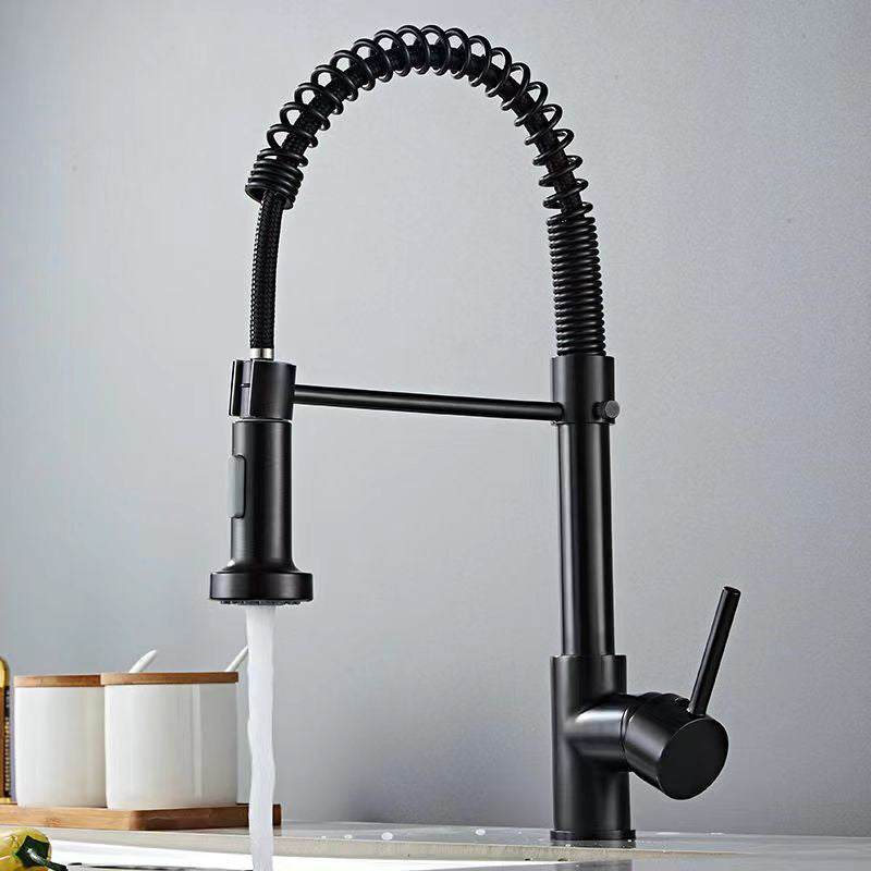 Modern 1-Handle Faucet Spring Spout with Water Dispenser Standard Kitchen Faucet