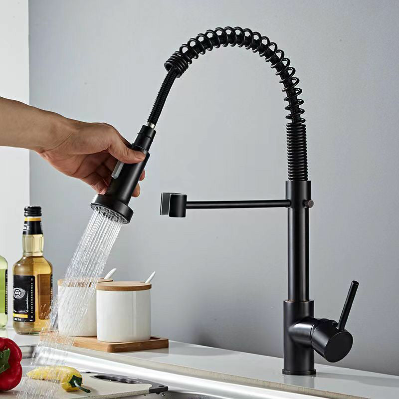 Modern 1-Handle Faucet Spring Spout with Water Dispenser Standard Kitchen Faucet
