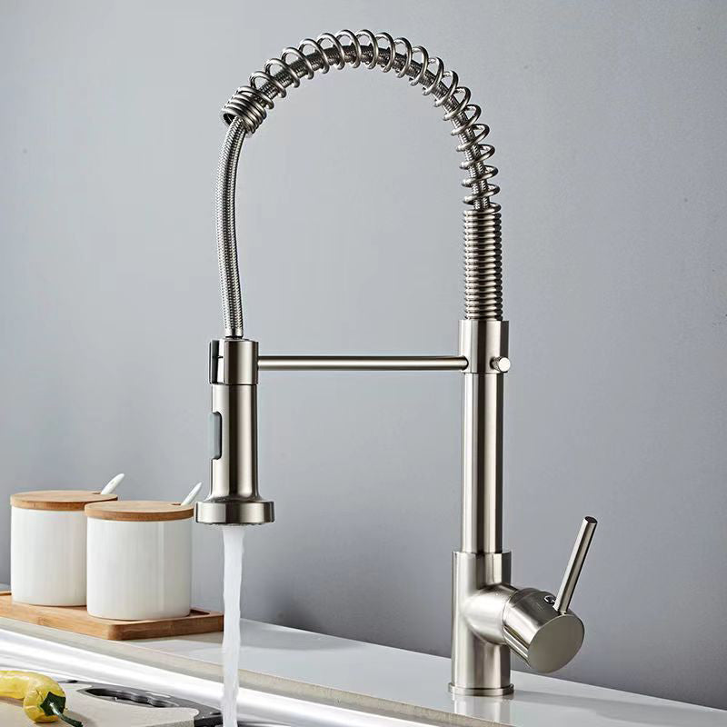 Modern 1-Handle Faucet Spring Spout with Water Dispenser Standard Kitchen Faucet