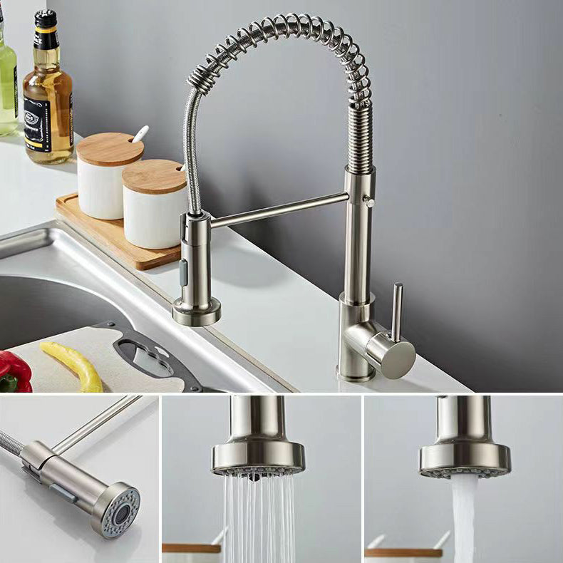 Modern 1-Handle Faucet Spring Spout with Water Dispenser Standard Kitchen Faucet
