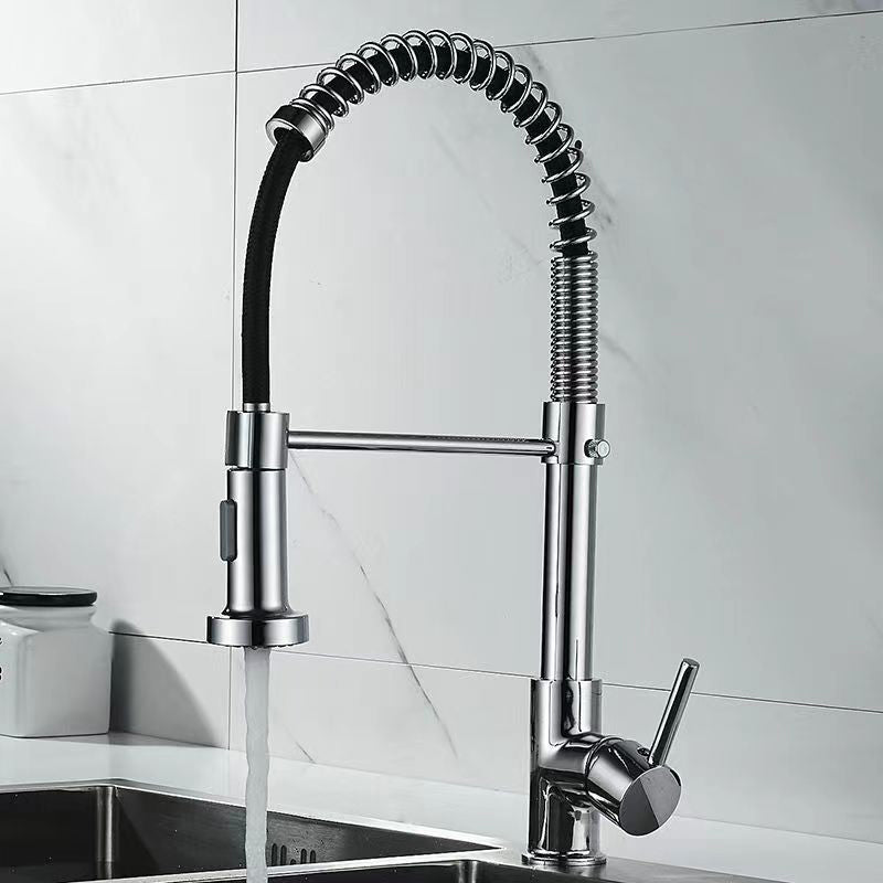 Modern 1-Handle Faucet Spring Spout with Water Dispenser Standard Kitchen Faucet
