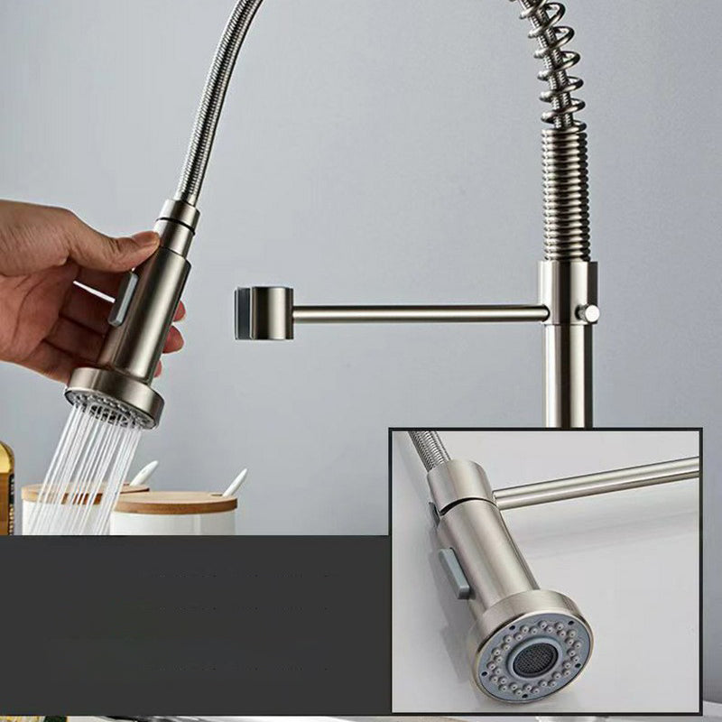Modern 1-Handle Faucet Spring Spout with Water Dispenser Standard Kitchen Faucet