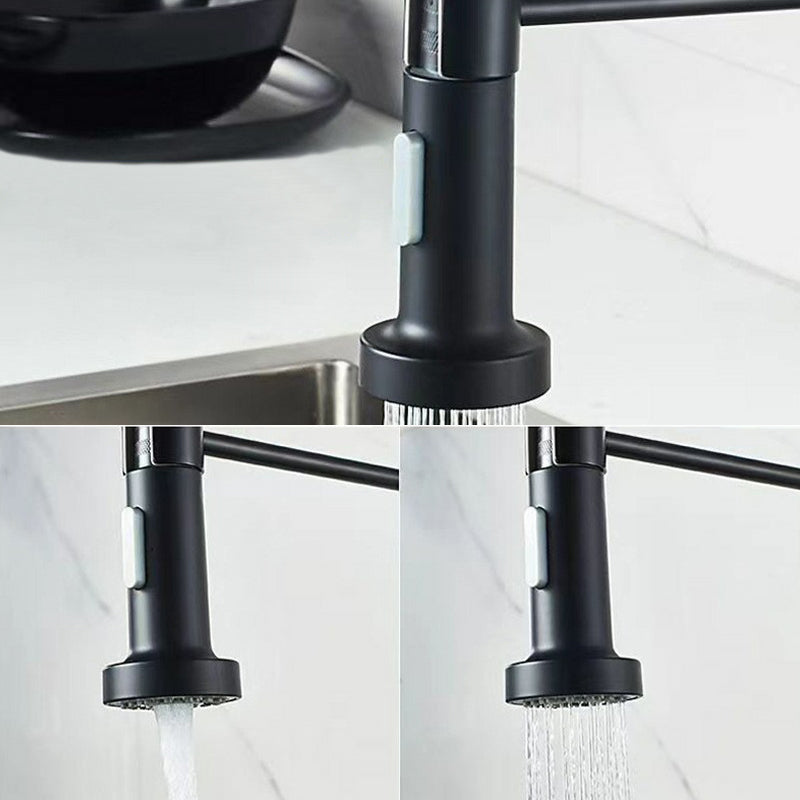 Modern 1-Handle Faucet Spring Spout with Water Dispenser Standard Kitchen Faucet