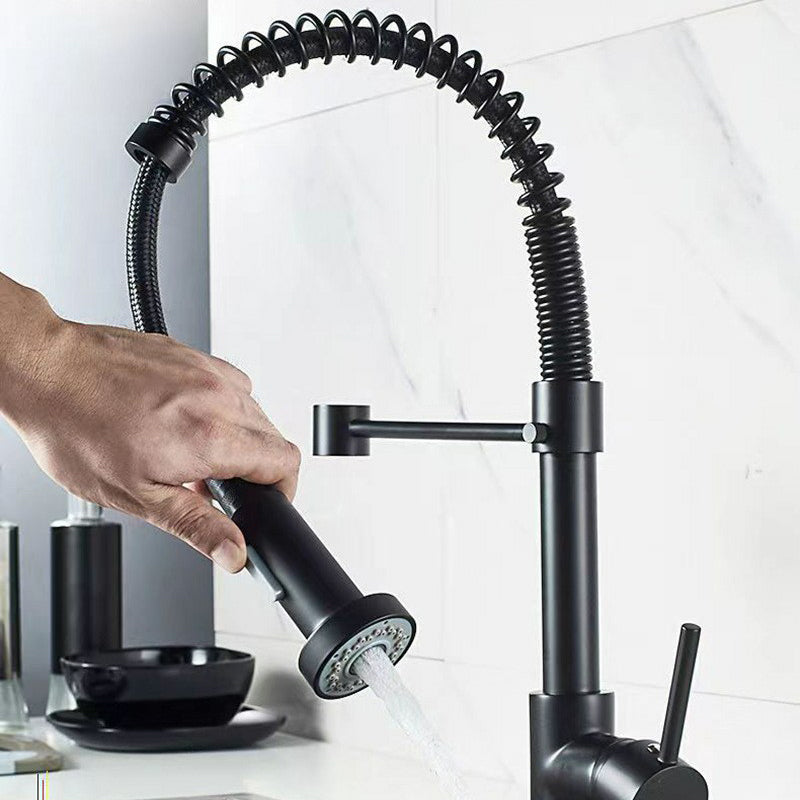 Modern 1-Handle Faucet Spring Spout with Water Dispenser Standard Kitchen Faucet