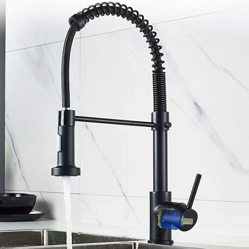 Modern 1-Handle Faucet Spring Spout with Water Dispenser Standard Kitchen Faucet