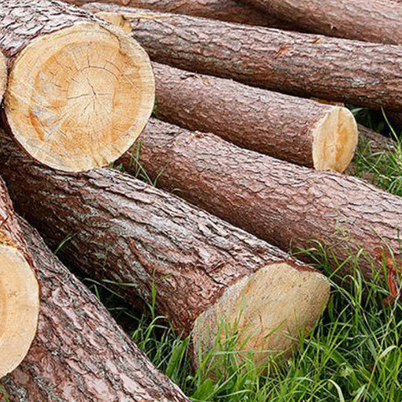 15.75" Tall Scandinavian Coffee Table Wooden Coffee Table in Walnut