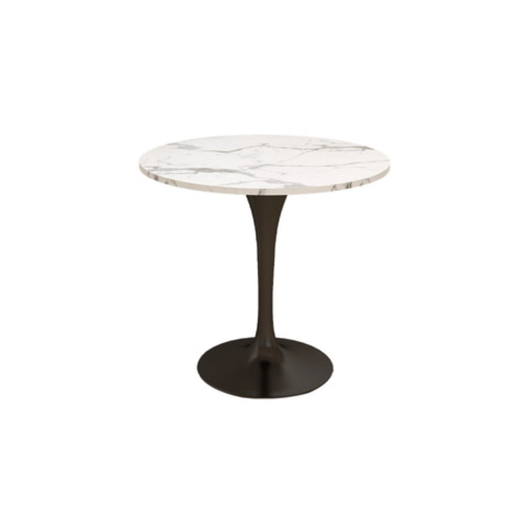 Modern Round Dining Table for Kitchen Dinette Table with Metal Tulip