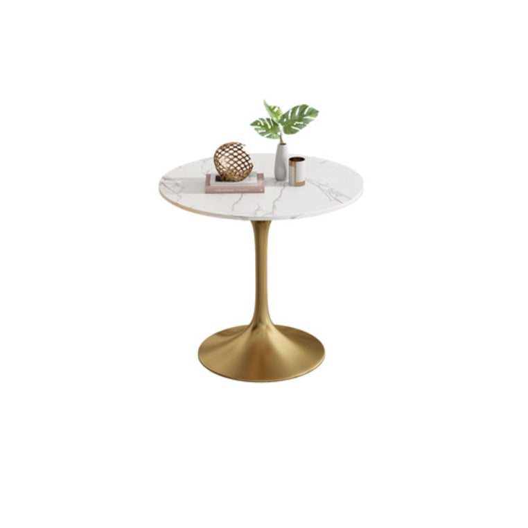 Modern Round Dining Table for Kitchen Dinette Table with Metal Tulip